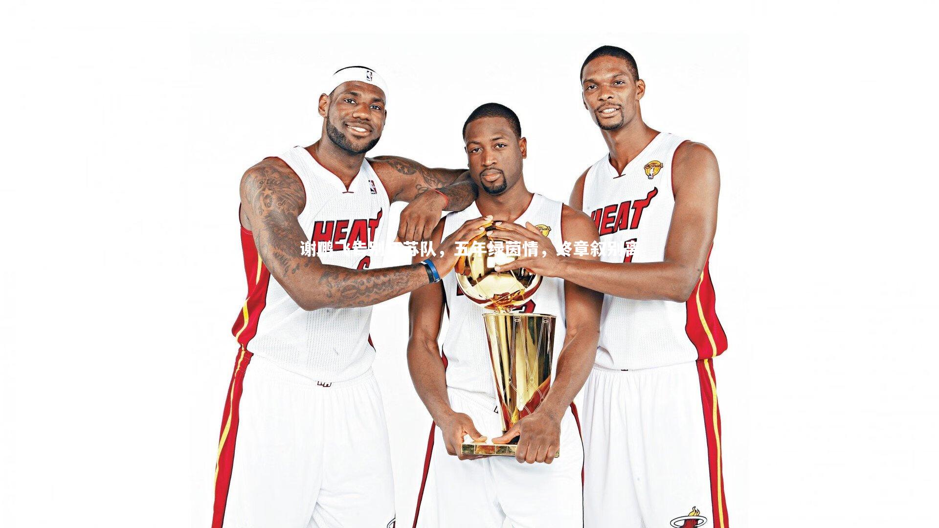 九游体育-谢鹏飞告别江苏队，五年绿茵情，终章叙别离